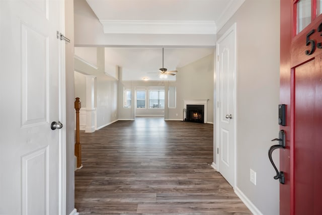 foyer entrance featuring ornamental molding, ceiling fan, and dark wood-type flooring