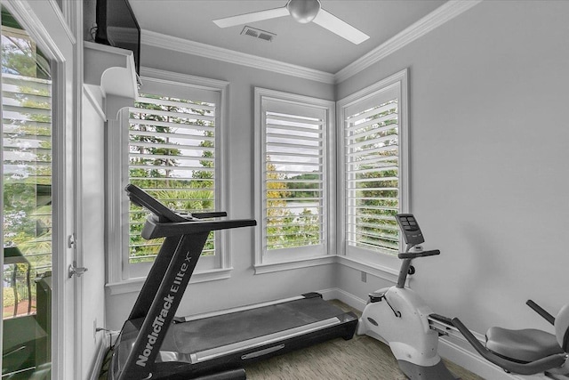 exercise room with crown molding, a ceiling fan, visible vents, wood finished floors, and baseboards