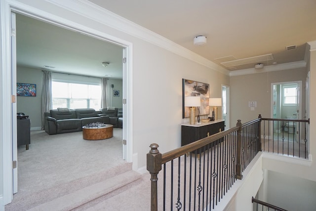 hall with plenty of natural light, carpet flooring, and crown molding