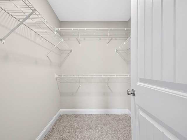 walk in closet featuring carpet