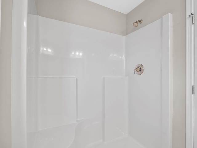 interior space with walk in shower