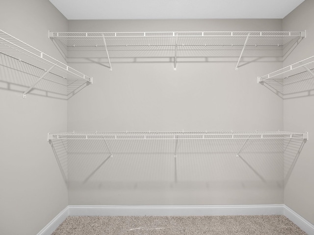 spacious closet with carpet