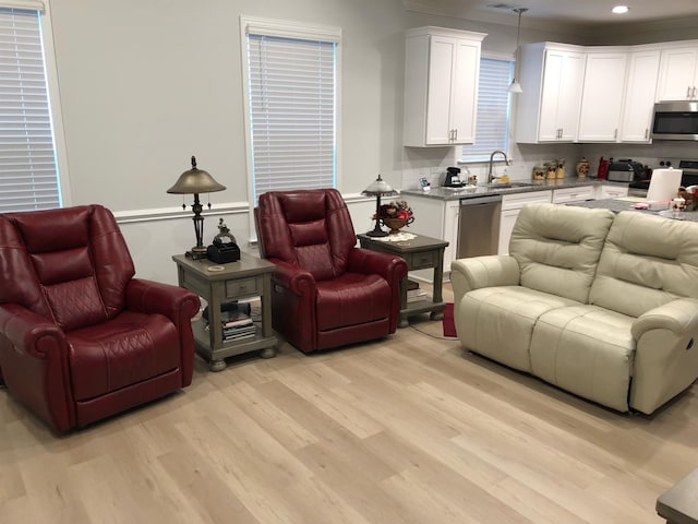 living room with light wood-type flooring, crown molding, and sink