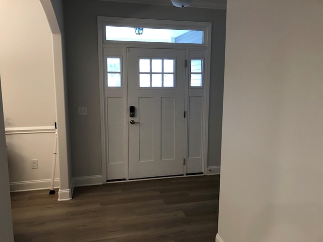 foyer with dark wood-type flooring