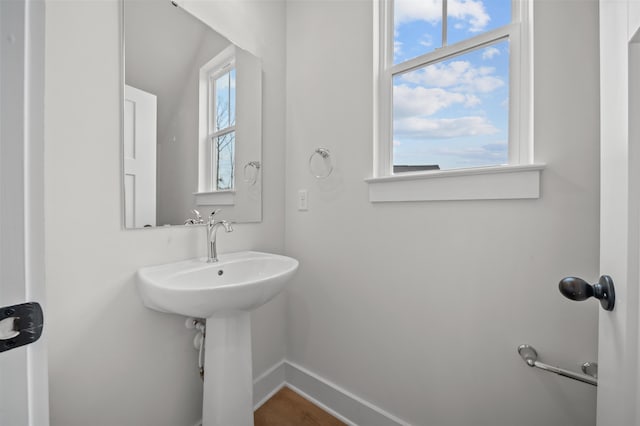 bathroom featuring plenty of natural light and hardwood / wood-style flooring