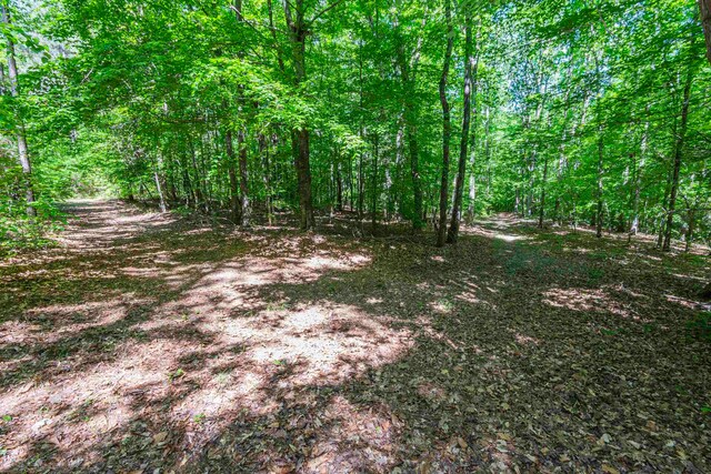 0 Leesville Church, Clinton, SC 29325