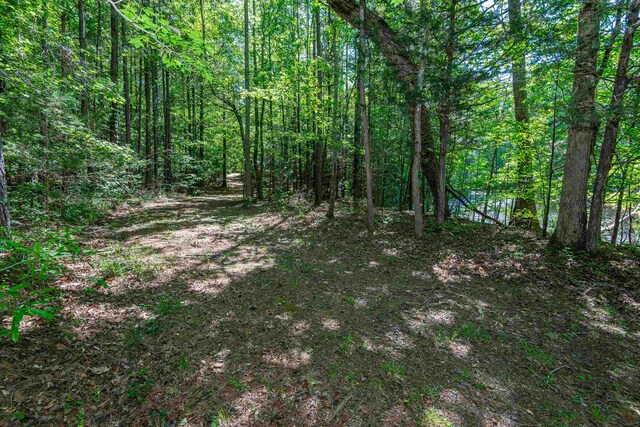 0 Leesville Church, Clinton, SC 29325
