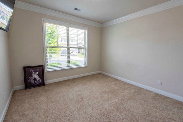 carpeted spare room featuring crown molding