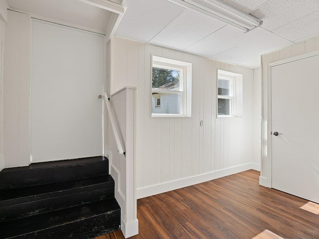 staircase featuring wood-type flooring and wood walls