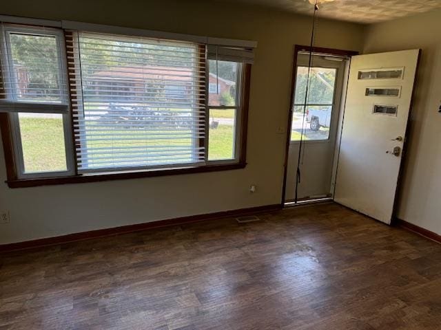 interior space featuring plenty of natural light and dark hardwood / wood-style flooring