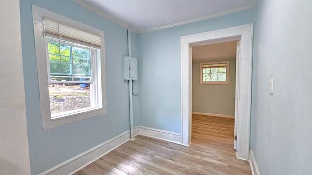 doorway with ornamental molding, a wealth of natural light, and light hardwood / wood-style floors