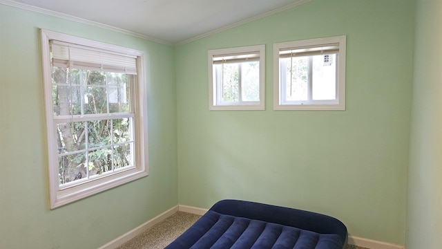 living area featuring lofted ceiling and crown molding