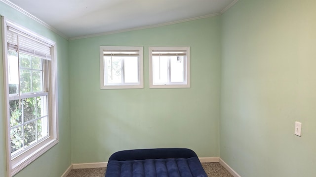 living area with lofted ceiling, crown molding, and a healthy amount of sunlight