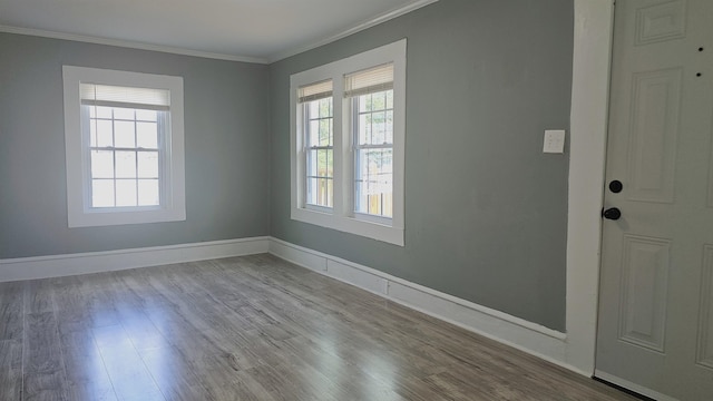 interior space with light wood-type flooring, ornamental molding, and a wealth of natural light