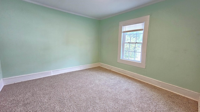 spare room with crown molding and carpet flooring