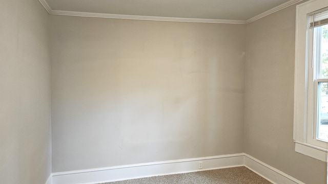 empty room with crown molding and carpet floors