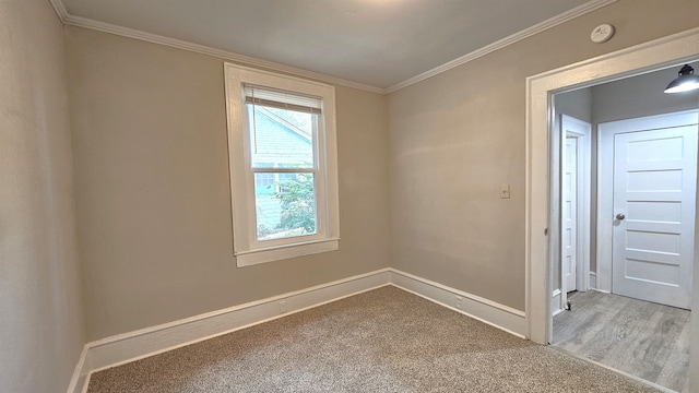 spare room featuring wood-type flooring and crown molding