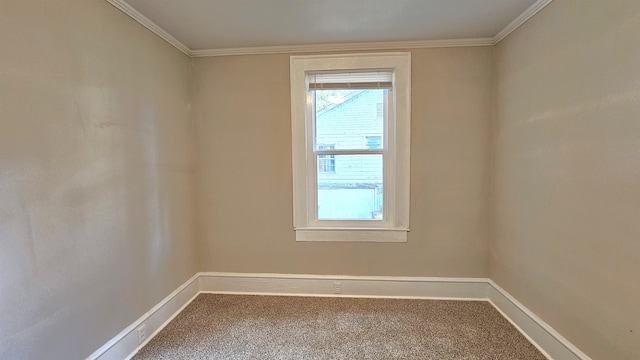 empty room with crown molding and carpet flooring