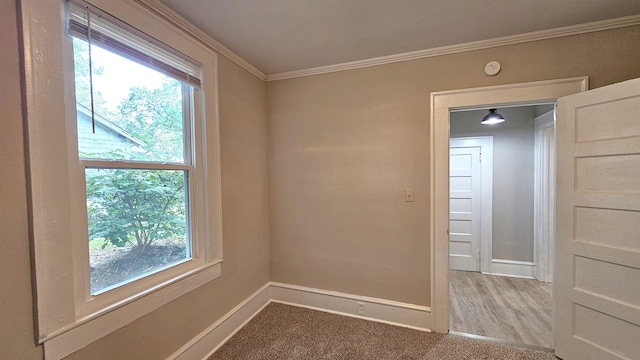 spare room featuring ornamental molding and light hardwood / wood-style floors