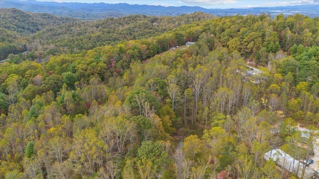 Listing photo 2 for 0 Kilpatrick, Hendersonville NC 28739