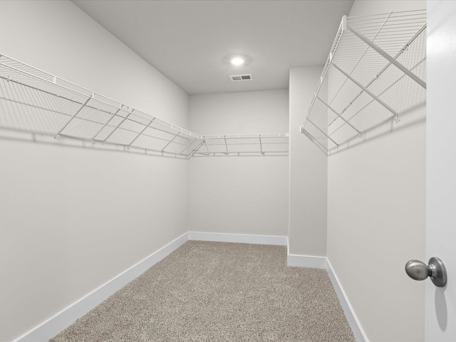 walk in closet with carpet floors