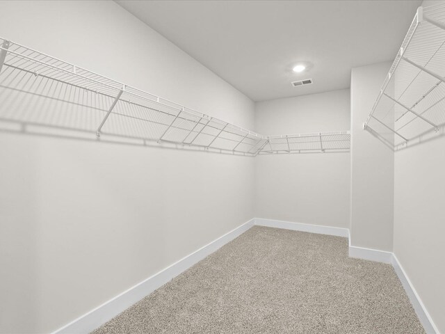 walk in closet with carpet floors