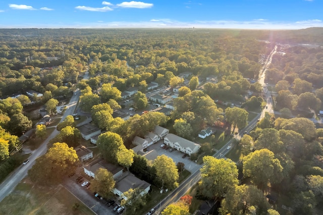 bird's eye view