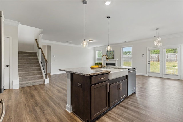 kitchen featuring hardwood / wood-style floors, a kitchen island with sink, stainless steel dishwasher, pendant lighting, and sink