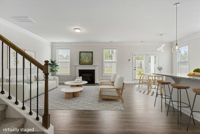 living room with crown molding, an inviting chandelier, and dark hardwood / wood-style flooring