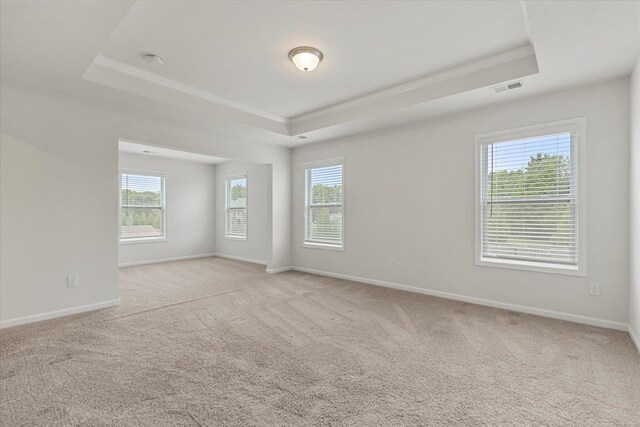 unfurnished room with light carpet, ornamental molding, and a tray ceiling