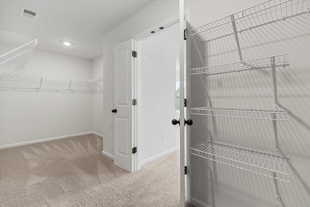 spacious closet with carpet