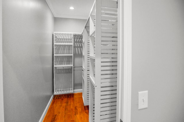 walk in closet featuring hardwood / wood-style floors