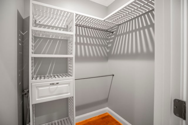 spacious closet featuring wood-type flooring