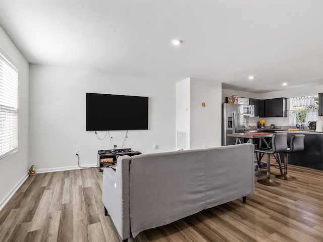 living room featuring hardwood / wood-style flooring and plenty of natural light