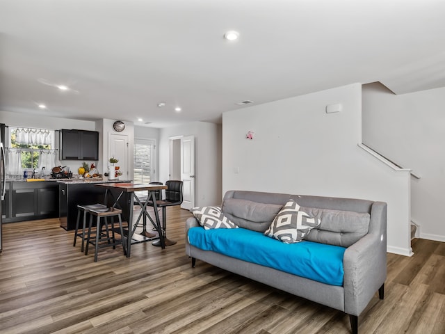 living room featuring wood-type flooring