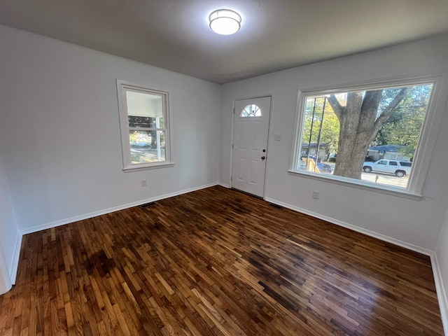 foyer entrance featuring dark wood-type flooring