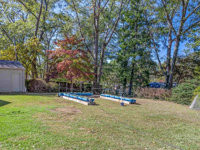 view of yard with a storage shed