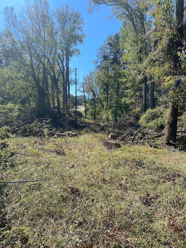 0 Blassingame, Union SC, 29379 land for sale