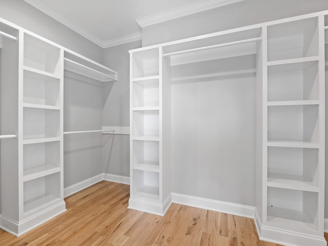 spacious closet with wood-type flooring