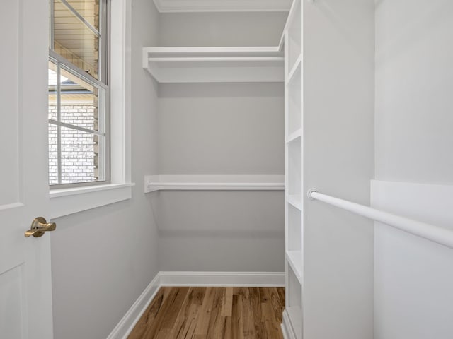 spacious closet with hardwood / wood-style flooring