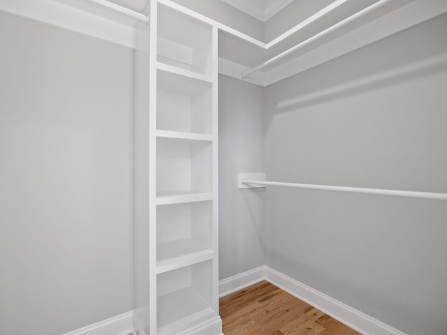 spacious closet with hardwood / wood-style flooring