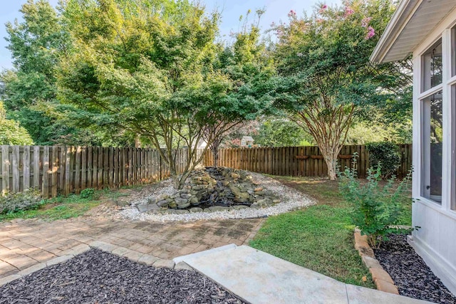 view of yard featuring a patio area