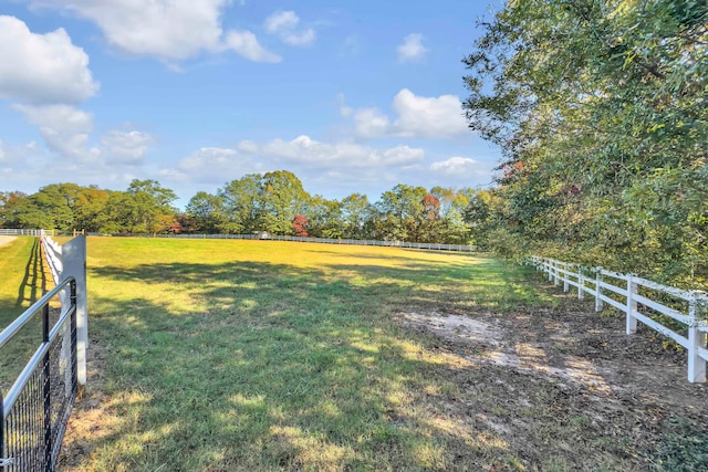 view of yard featuring a rural view