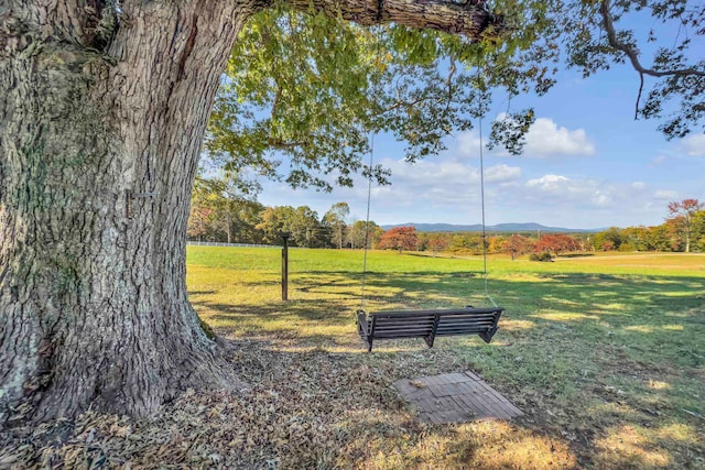 view of property's community featuring a mountain view and a yard