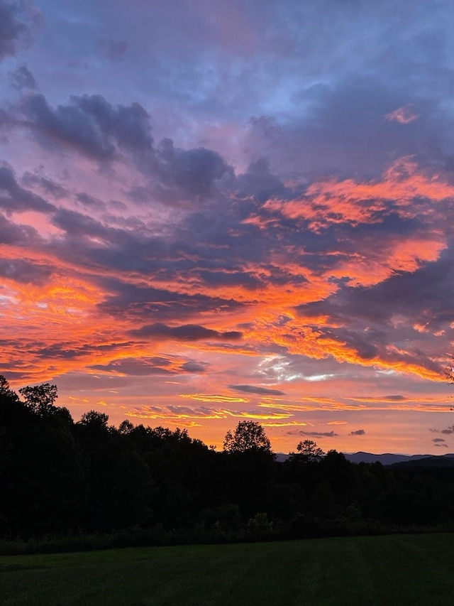 view of nature at dusk