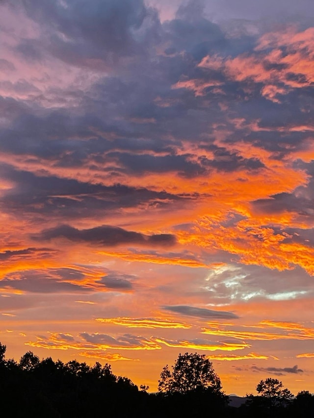 view of nature at dusk