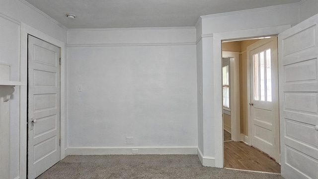 interior space with crown molding, carpet floors, and a closet