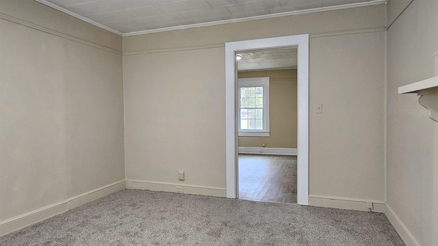 empty room featuring ornamental molding and carpet floors