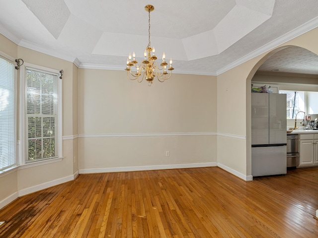 spare room with light wood-type flooring and a raised ceiling