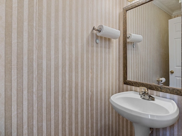 bathroom with ornamental molding and sink